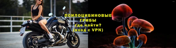 стафф Строитель