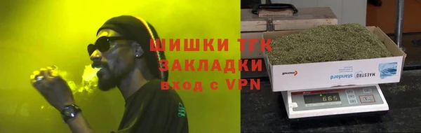 стаф Бородино