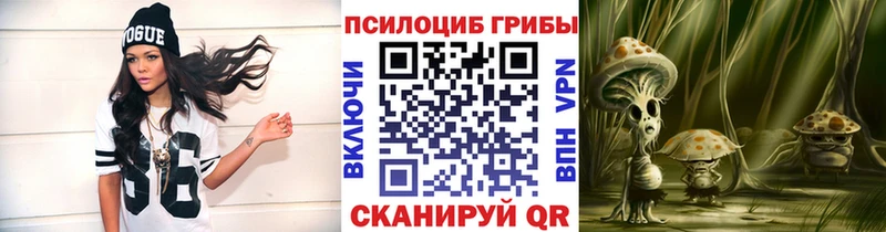 сколько стоит  Видное  Псилоцибиновые грибы мицелий 