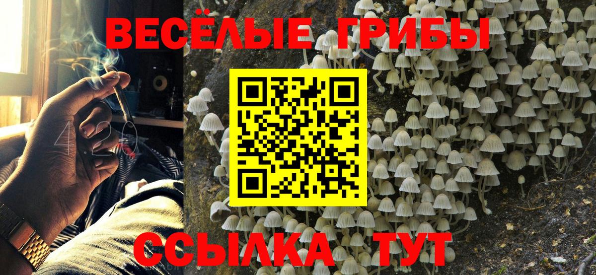 Видное  Псилоцибиновые грибы ЛСД  закладки  Вход с VPN 